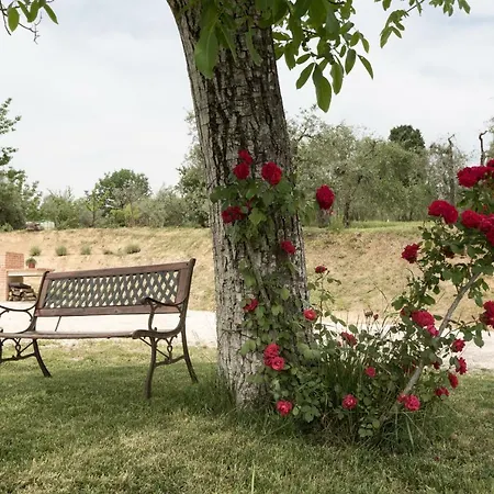 Podere La Querce Venkovský dům Lucignano